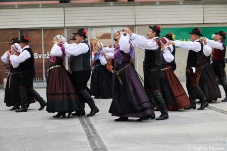 Čebela velikanka potuje po Kamniku (61)